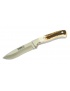 Nůž Sauer - Lovecký nůž Jelení paroh (10281) 60 HRC (Hirschhornmesser)